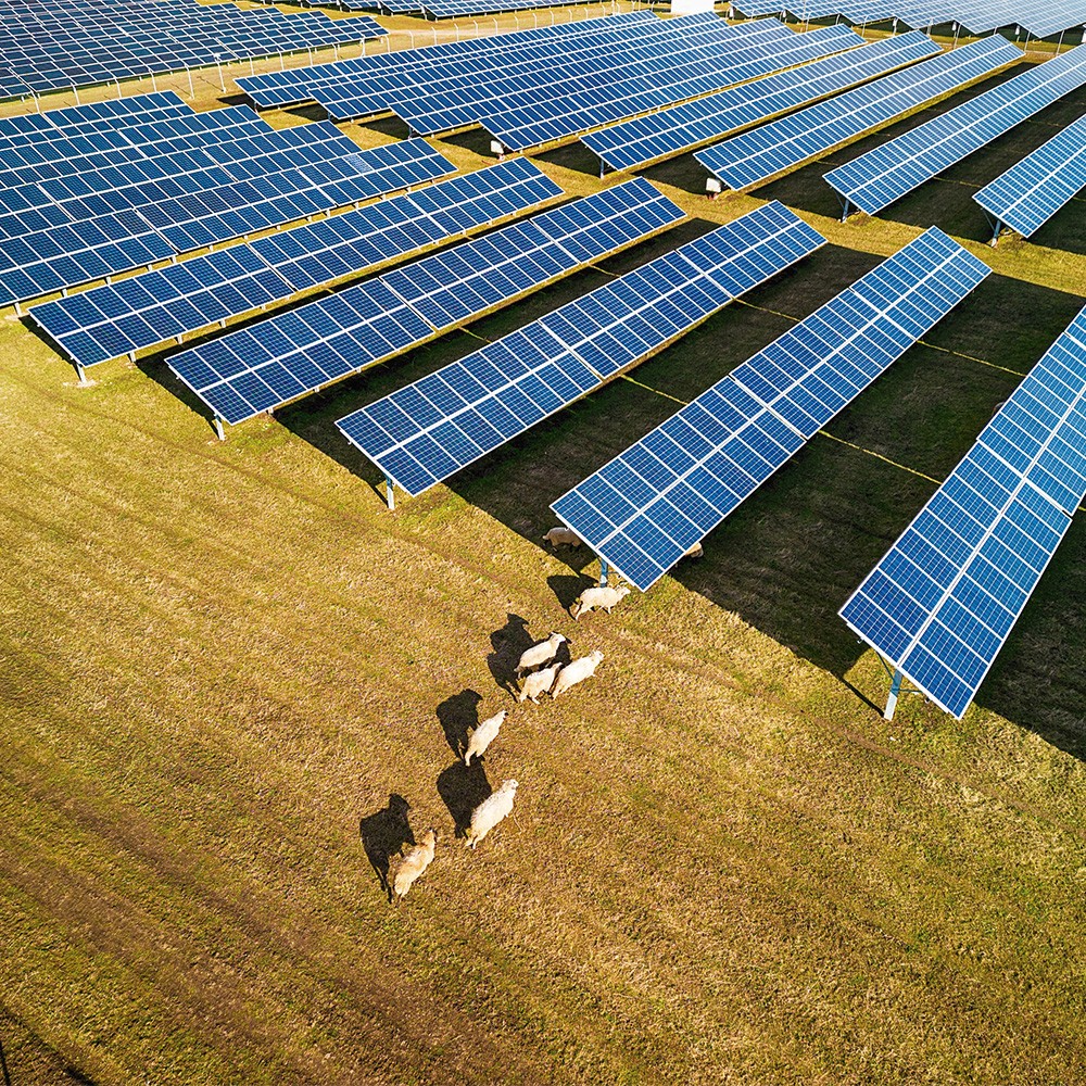 Solar Power PA - Soluções para o agro